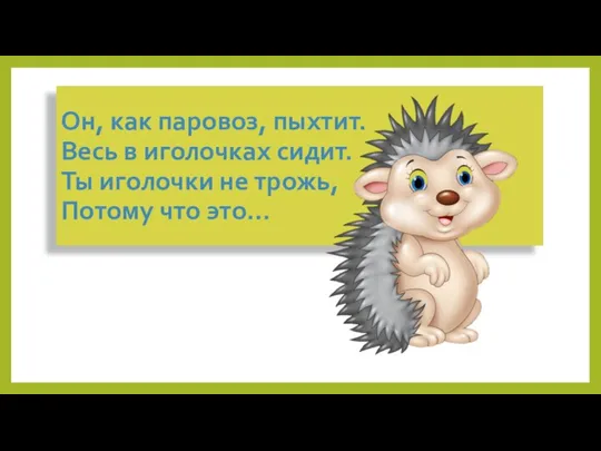 Он, как паровоз, пыхтит. Весь в иголочках сидит. Ты иголочки не трожь, Потому что это…