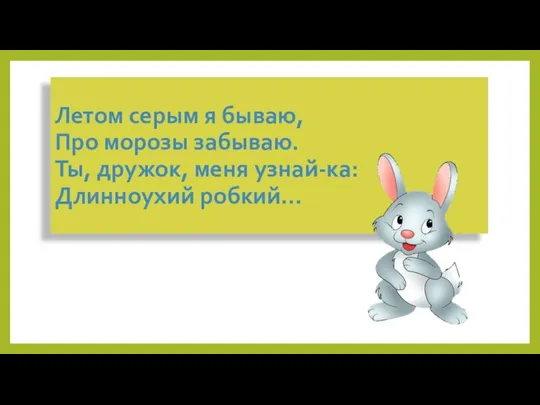 Летом серым я бываю, Про морозы забываю. Ты, дружок, меня узнай-ка: Длинноухий робкий…