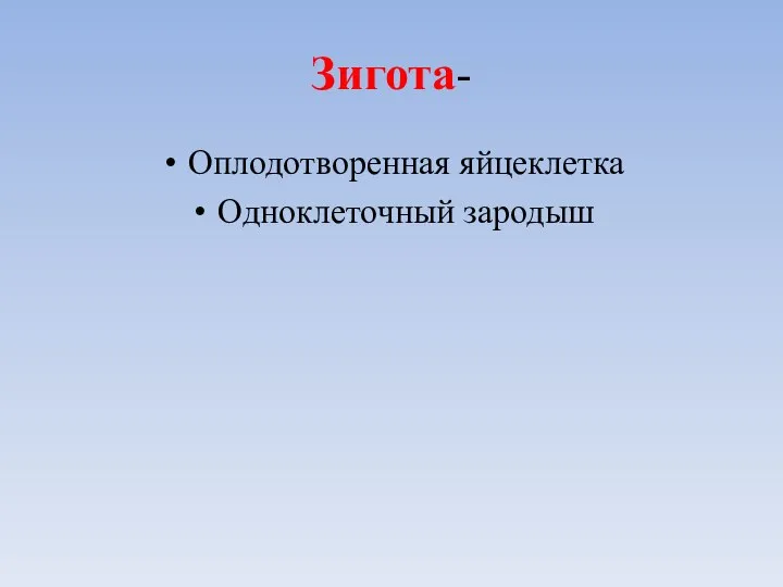 Зигота- Оплодотворенная яйцеклетка Одноклеточный зародыш