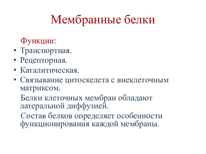 Мембранные белки Функции: Транспортная. Рецепторная. Каталитическая. Связывание цитоскелета с внеклеточным матриксом.