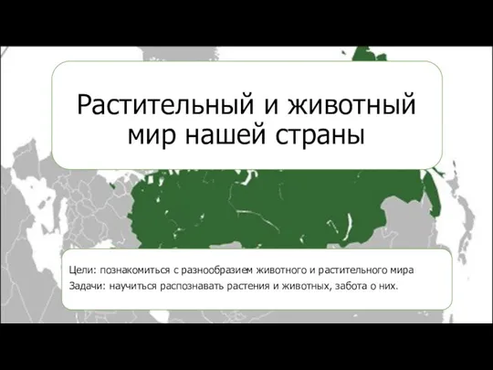 Растительный и животный мир нашей страны Цели: познакомиться с разнообразием животного