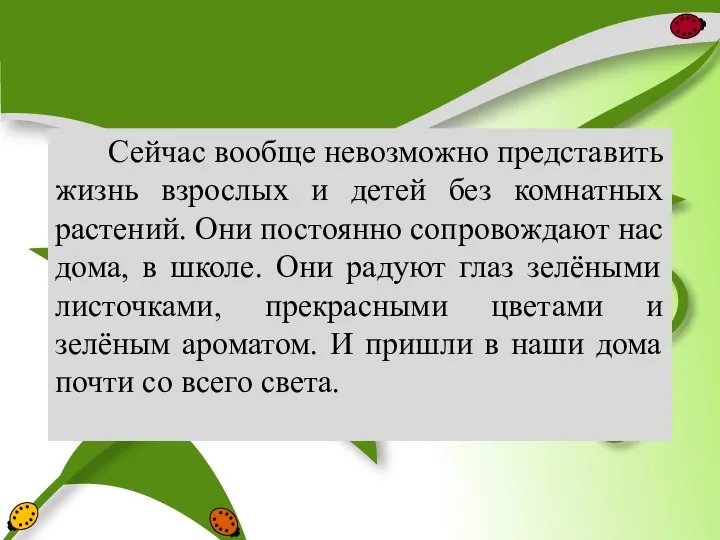 Сейчас вообще невозможно представить жизнь взрослых и детей без комнатных растений.