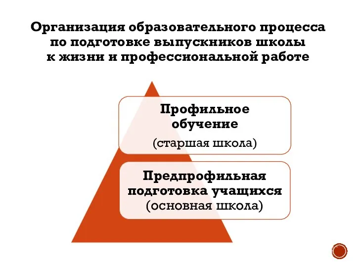 Организация образовательного процесса по подготовке выпускников школы к жизни и профессиональной работе