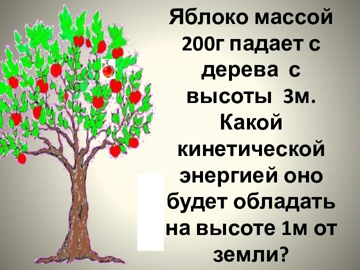 Яблоко массой 200г падает с дерева с высоты 3м. Какой кинетической