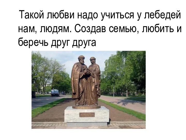 Такой любви надо учиться у лебедей нам, людям. Создав семью, любить и беречь друг друга