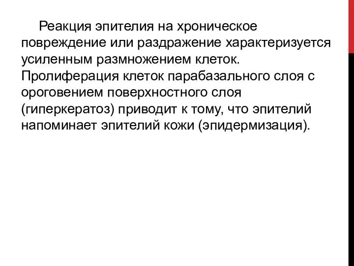 Реакция эпителия на хроническое повреждение или раздражение характеризуется усиленным размножением клеток.