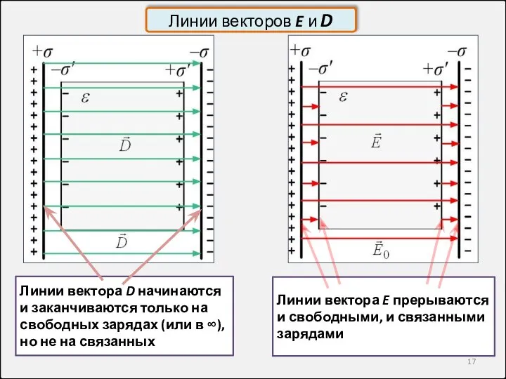 Линии вектора D начинаются и заканчиваются только на свободных зарядах (или