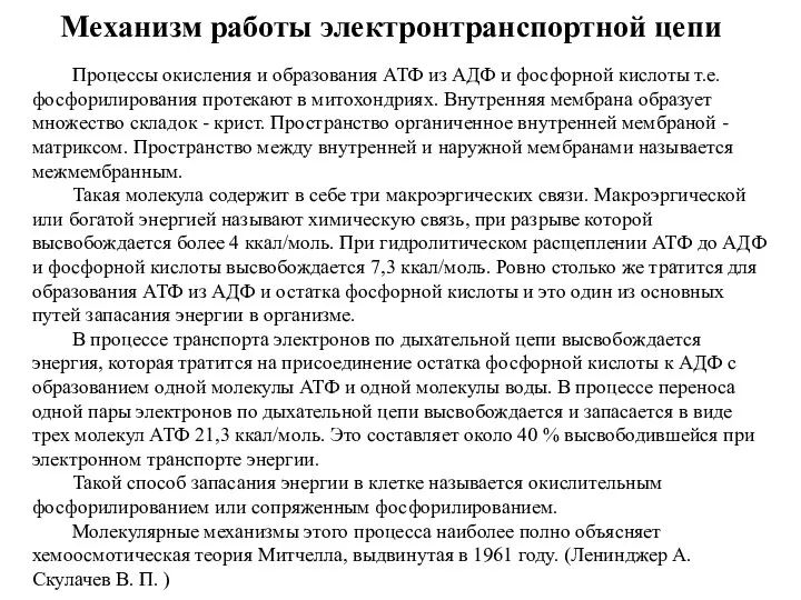 Механизм работы электронтранспортной цепи Процессы окисления и образования АТФ из АДФ