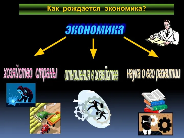 Как рождается экономика? экономика хозяйство страны отношения в хозяйстве наука о его развитии