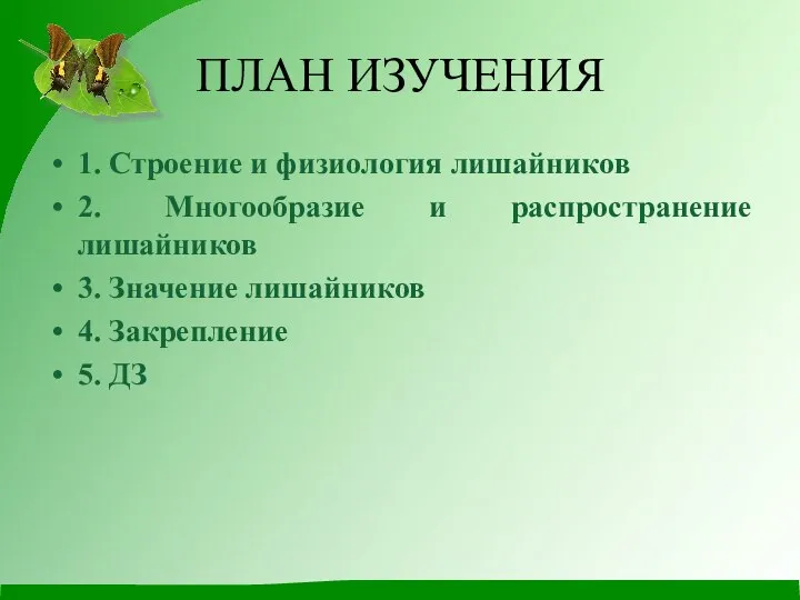 ПЛАН ИЗУЧЕНИЯ 1. Строение и физиология лишайников 2. Многообразие и распространение