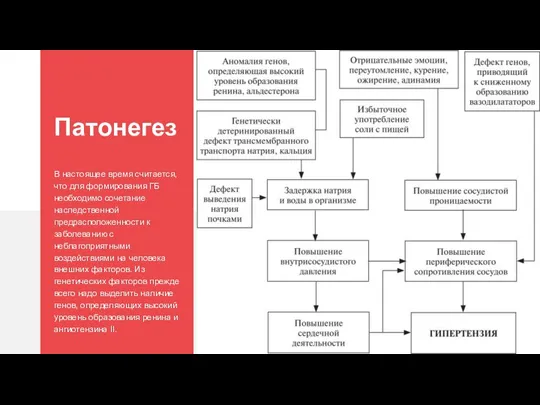 Патонегез В настоящее время считается, что для формирования ГБ необходимо сочетание