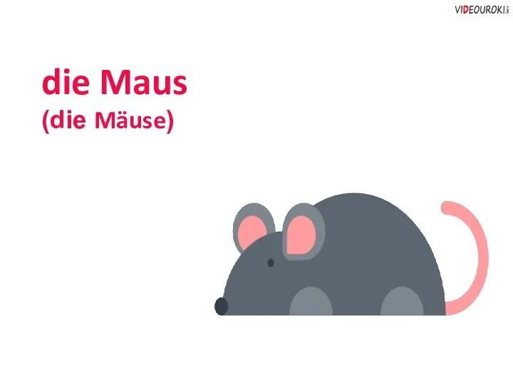 die Maus (die Mäuse)
