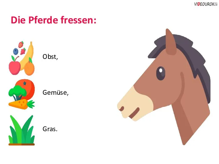 Die Pferde fressen: Obst, Gemüse, Gras.