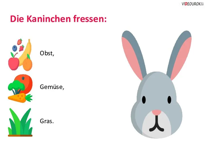 Die Kaninchen fressen: Obst, Gemüse, Gras.