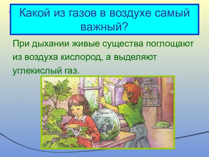 Какой из газов в воздухе самый важный? При дыхании живые существа