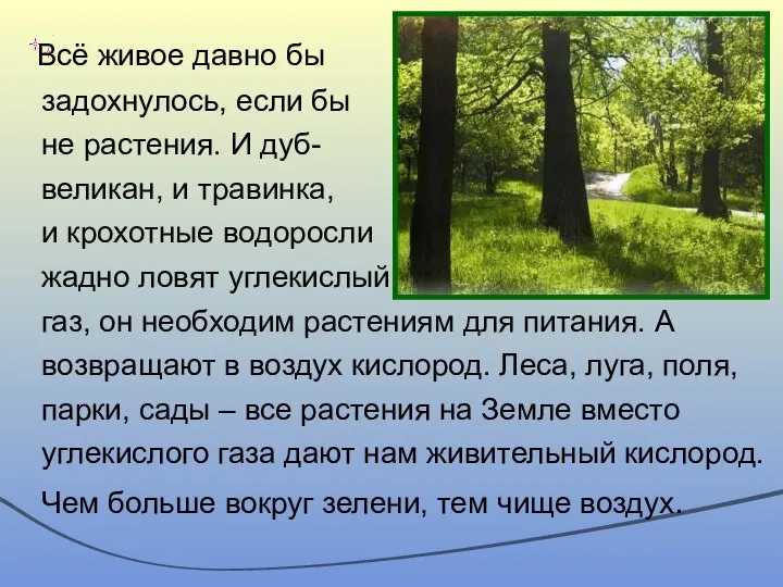 Всё живое давно бы задохнулось, если бы не растения. И дуб-