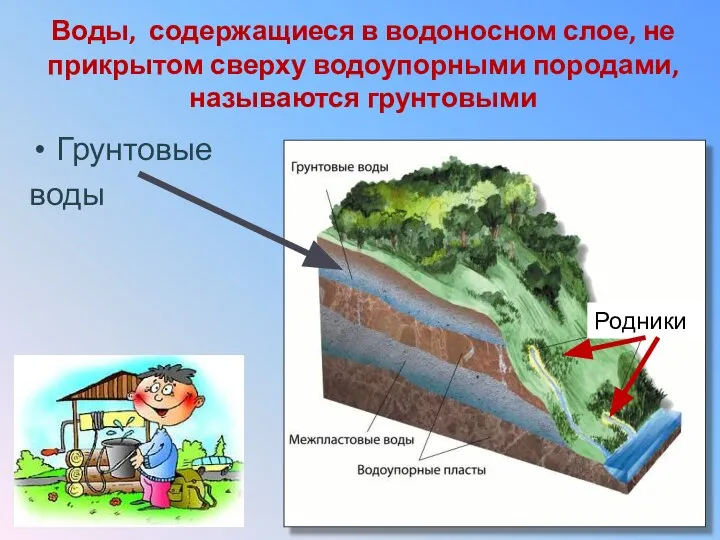 Воды, содержащиеся в водоносном слое, не прикрытом сверху водоупорными породами, называются грунтовыми Грунтовые воды Родники