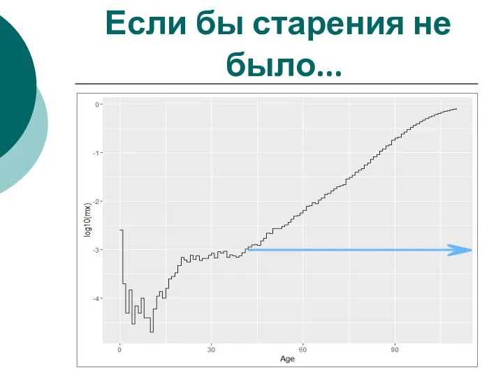 Если бы старения не было...