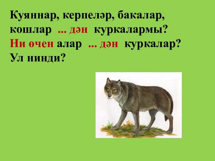 Куяннар, керпеләр, бакалар, кошлар ... дән куркалармы? Ни өчен алар ... дән куркалар? Ул нинди?