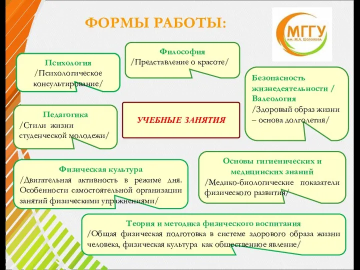 ФОРМЫ РАБОТЫ: УЧЕБНЫЕ ЗАНЯТИЯ Педагогика /Стили жизни студенческой молодежи/ Философия /Представление