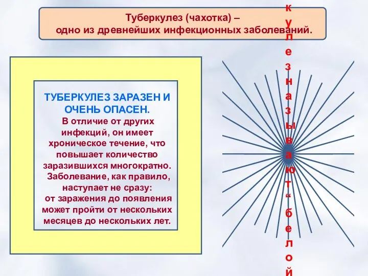 Туберкулез (чахотка) – одно из древнейших инфекционных заболеваний. ТУБЕРКУЛЕЗ ЗАРАЗЕН И