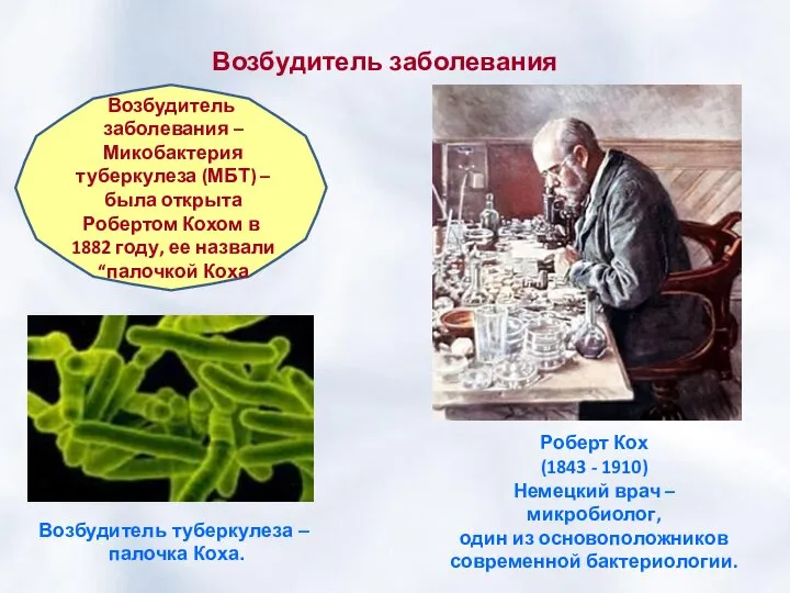 Возбудитель заболевания Возбудитель заболевания – Микобактерия туберкулеза (МБТ) – была открыта