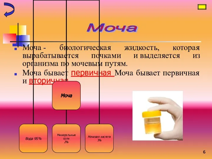 Моча - биологическая жидкость, которая вырабатывается почками и выделяется из организма