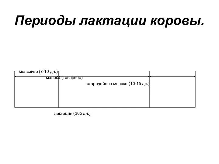 Периоды лактации коровы. молозиво (7-10 дн.) молоко (товарное) стародойное молоко (10-15 дн.) лактация (305 дн.)