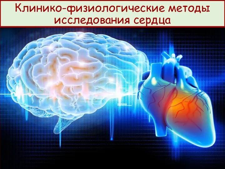 Клинико-физиологические методы исследования сердца