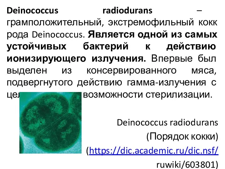 Deinococcus radiodurans – грамположительный, экстремофильный кокк рода Deinococcus. Является одной из