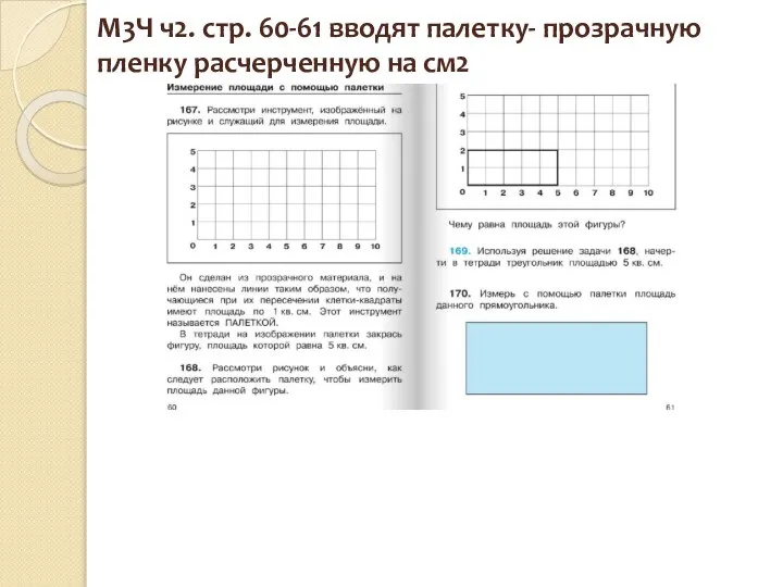 М3Ч ч2. стр. 60-61 вводят палетку- прозрачную пленку расчерченную на см2