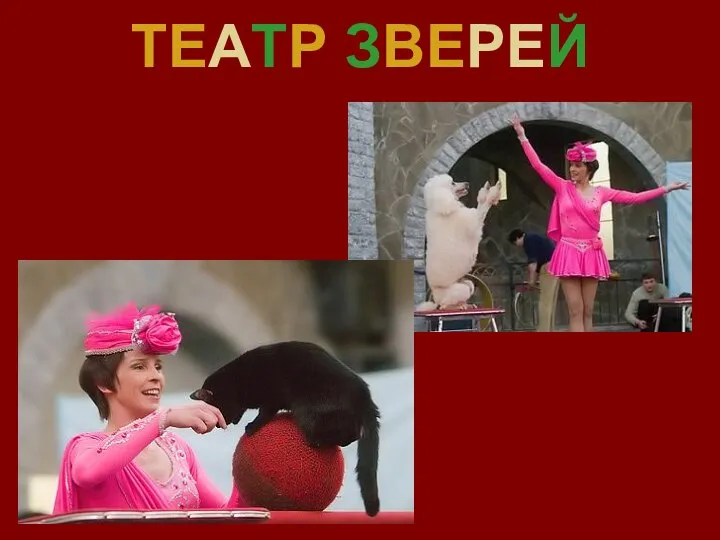 ТЕАТР ЗВЕРЕЙ