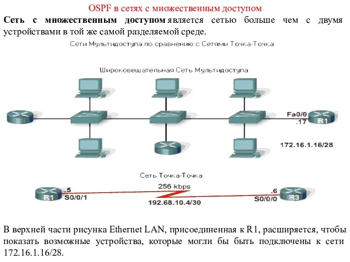 OSPF в сетях с множественным доступом Сеть с множественным доступом является