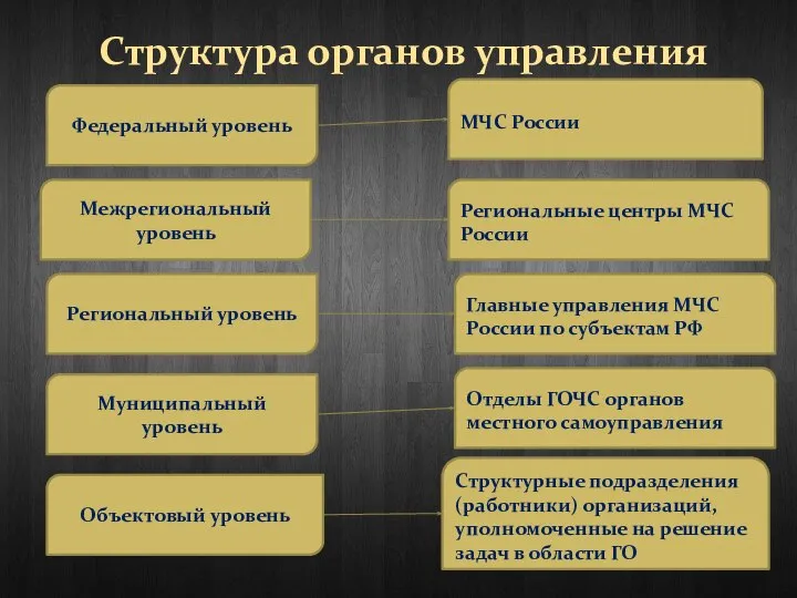 Структура органов управления Федеральный уровень Межрегиональный уровень Региональный уровень Муниципальный уровень