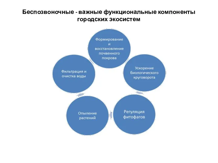 Беспозвоночные - важные функциональные компоненты городских экосистем