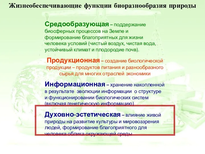 Жизнеобеспечивающие функции биоразнообразия природы Средообразующая – поддержание биосферных процессов на Земле