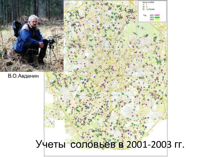 Учеты соловьев в 2001-2003 гг. В.О.Авданин