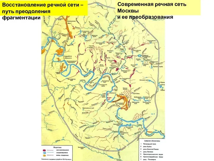 Современная речная сеть Москвы и ее преобразования Восстановление речной сети – путь преодоления фрагментации