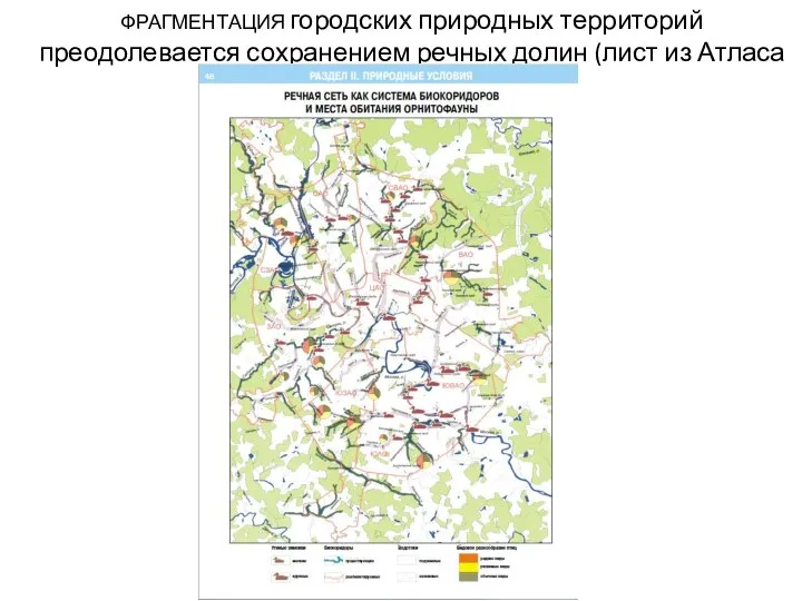 ФРАГМЕНТАЦИЯ городских природных территорий преодолевается сохранением речных долин (лист из Атласа Москвы)