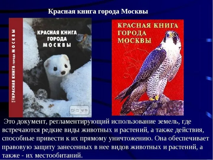 Природоохранные достижения Москвы В 1990-е годы в Москве была создана юридическая