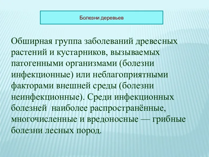 Обширная группа заболеваний древесных растений и кустарников, вызываемых патогенными организмами (болезни