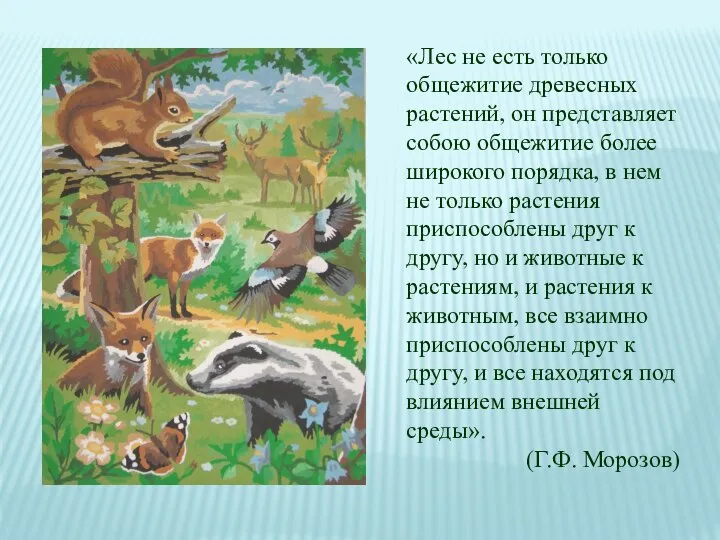 «Лес не есть только общежитие древесных растений, он представляет собою общежитие