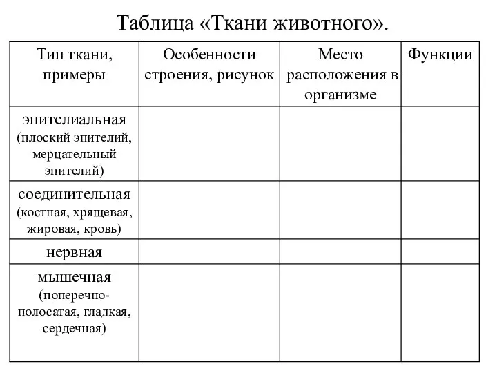 Таблица «Ткани животного».