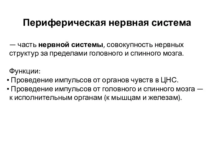 Периферическая нервная система — часть нервной системы, совокупность нервных структур за