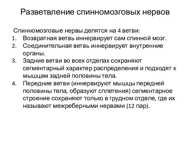 Разветвление спинномозговых нервов Спинномозговые нервы делятся на 4 ветви: Возвратная ветвь