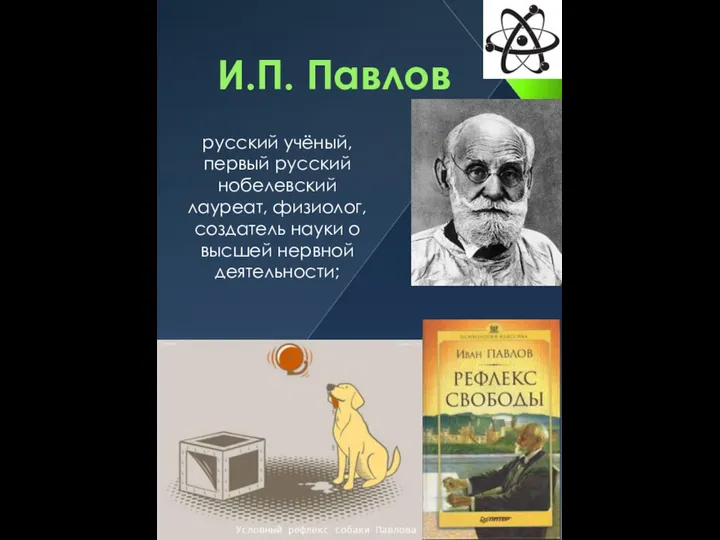 И.П. Павлов русский учёный, первый русский нобелевский лауреат, физиолог, создатель науки о высшей нервной деятельности;