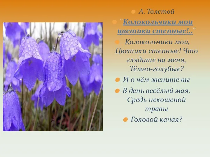 А. Толстой "Колокольчики мои цветики степные!.." Колокольчики мои, Цветики степные! Что