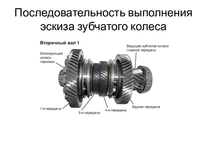 Последовательность выполнения эскиза зубчатого колеса