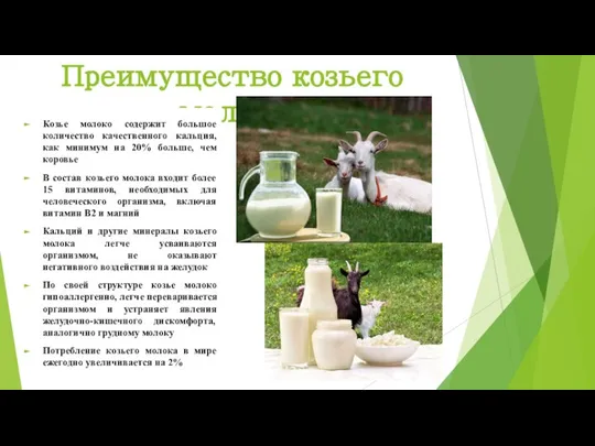 Преимущество козьего молока Козье молоко содержит большое количество качественного кальция, как