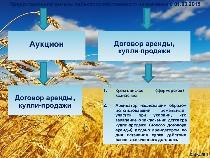 Предоставление земель сельскохозяйственного назначения с 01.03.2015 Крестьянское (фермерское) хозяйство. Арендатор надлежащим